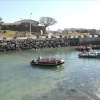 Отель Jeju Mulgorgee Pension, фото 21