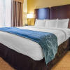 Отель Comfort Suites, фото 6