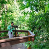 Отель Chachagua Rainforest Ecolodge, фото 1