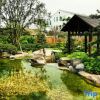 Отель Beity Hot Spring Tourism Resort, фото 11