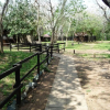 Отель Isinkwe Bush Camp, фото 2