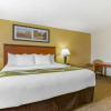 Отель Comfort Inn, фото 32