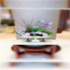 Отель Manju Hotel, фото 17