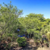 Отель Gulf Pines Too, фото 23