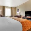 Отель Comfort Inn Denton, фото 5