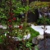 Отель Machiya Stay Kyo Miyabi, фото 13
