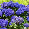 Отель #Areias Houses 9, фото 11