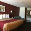 Отель Econo Lodge, фото 5