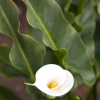 Отель Ayenda Kensy 1097, фото 8