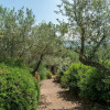Отель Dalmanuta 8 in Collelungo, фото 23