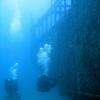 Отель Monkey Beach Dive Resort, фото 32