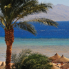 Отель Baron Palms Resort Sharm El Sheikh - Adults Only - All inclusive, фото 10
