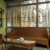 Отель Yuanlin Qingteng Hotel, фото 15