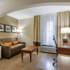 Отель Comfort Inn & Suites Springfield I-44, фото 7