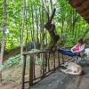 Отель Hindiba Doga Evi, фото 19