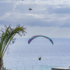 Отель Luxury Holiday - Madeira Oceanview Paradise, фото 24
