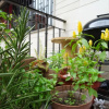 Отель Almarita Guest House, фото 9