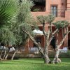 Отель Villa Layyine - Moroccan sumptuousness, фото 15
