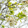 Отель Headington Orchard - 3 Bedroom House Parking Garden, фото 19