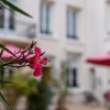 Отель Clos Saint-martin, фото 17