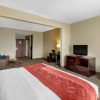 Отель Comfort Suites Seaford, фото 5