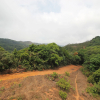 Отель Oyo 8702 Coorg Treehouse, фото 2