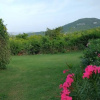 Отель Sunset Ridge Villas Unit D, фото 18