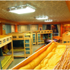 Отель Elmar Guesthouse - Hostel, фото 3