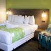 Отель The Grand River Hotel, An Ascend Hotel Collection Member, фото 5