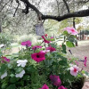 Отель B&B la Borraina, фото 36