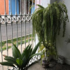 Отель Domeyer Hostel, фото 10
