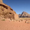 Отель Wadi Rum Bedouins Sunset, фото 10