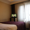 Отель Ankara Risiss Hotel, фото 29