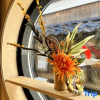Отель Fortune House Uchikyuhojimachi2-4-1①, фото 3