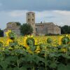 Отель Il Castello di Sovicille, фото 33