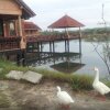 Отель Velankanni Lake Resort, фото 8