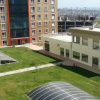Отель Park House, фото 1