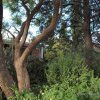 Отель Capon Cottage, фото 14