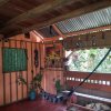 Отель Hostal Búho Amazonas Tours в Казерио Эль Прогресо