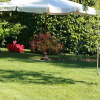 Отель Villa Ramella, фото 1