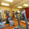 Отель Quality Inn & Suites, фото 18