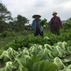 Отель Chau Doc Homestay, фото 6