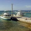 Отель Brac Reef Beach Resort, фото 11