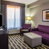 Отель La Quinta Inn & Suites by Wyndham Lynchburg at Liberty University, фото 5