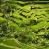 Отель 14 Days Best Of Indonesia Tour Air, Rail And Chauffeur Driven Private Tour, фото 8