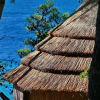 Отель Pine Beach Pakostane - All Inclusive light, фото 23