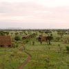 Отель Robanda Safari Camp, фото 7