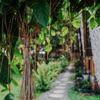 Отель Triangle Palms Siargao, фото 19