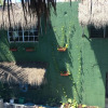 Отель Lobo Inn - Hostel в Тулуме