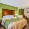 Отель Comfort Inn & Suites, фото 27